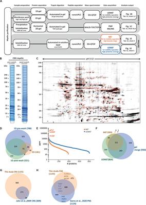 The CNS Myelin Proteome: Deep Profile and Persistence After Post-mortem Delay